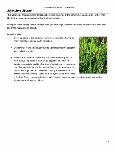 nature walk idea with cattails picture